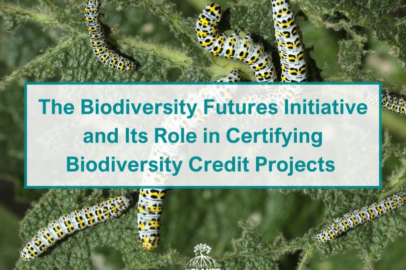 The Biodiversity Futures Initiative and Its Role in Certifying Biodiversity Credit Projects 