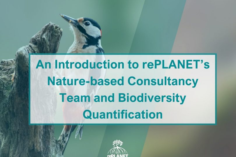 An Introduction to rePLANET’s Nature-based Consultancy Team and Biodiversity Quantification