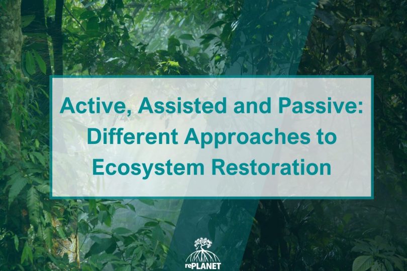 Active, Assisted and Passive: Different Approaches to Ecosystem Restoration