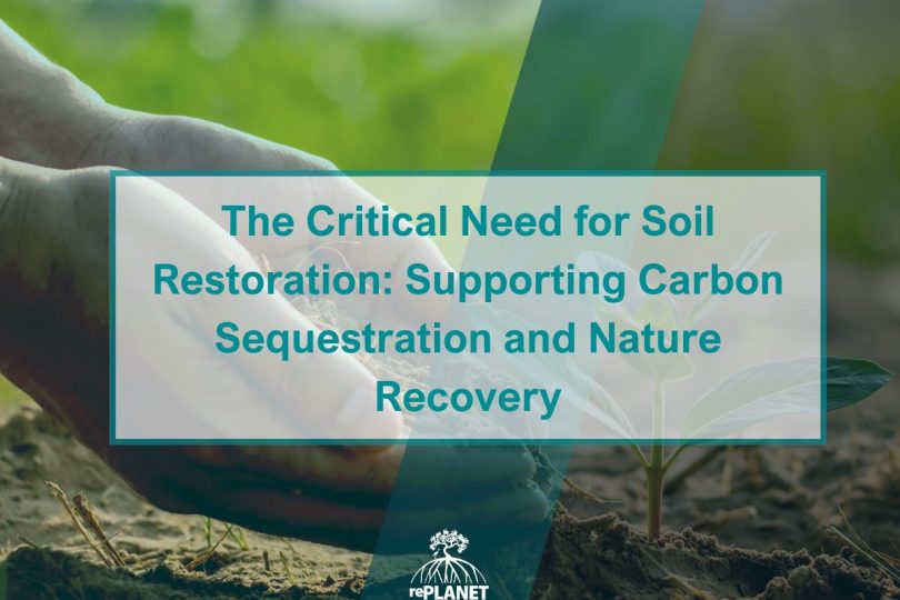 A Critical Need for Soil Restoration: Supporting Carbon Sequestration and Nature Recovery