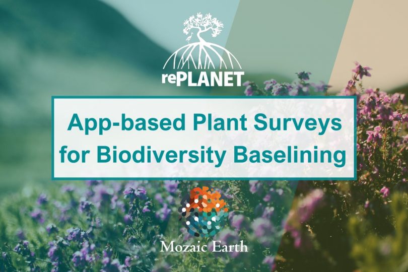 App-based Plant Surveys for Biodiversity Baselining